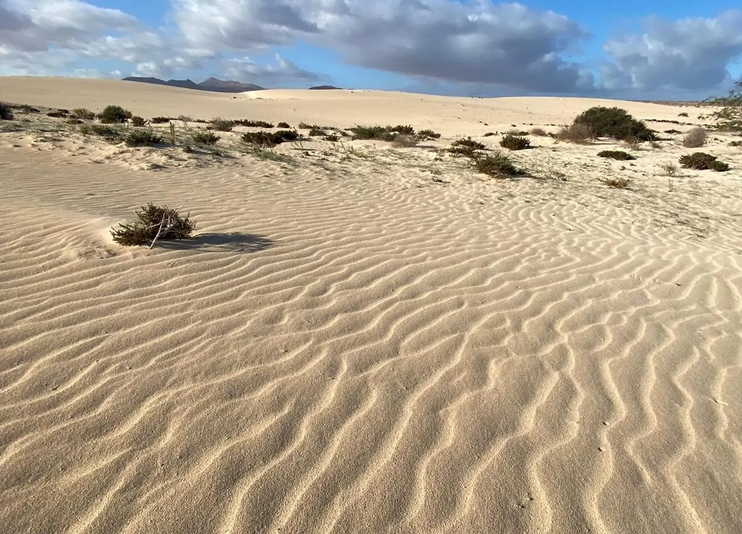 El Rincon Del Cangrejo Corralejo